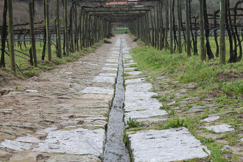 Quinta Da Eira Do Sol Villa Guimarães Exteriör bild